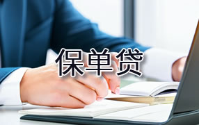 安康保单贷